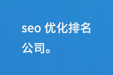seo優化排名公司